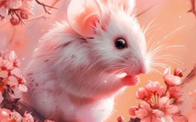 Đến Thần tài cũng phải "ghen tị" với 3 con giáp này, càng gần Tết vận càng đỏ như son