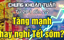 INFOGRAPHIC: Chứng khoán tuần tới (29-1 đến 2-2): Tăng mạnh hay nghỉ Tết sớm?