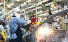 Mỗi ngày có hơn 450 doanh nghiệp thành lập mới trong tháng đầu năm 2024