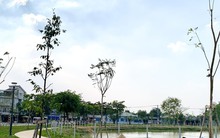 TP HCM sắp có thêm 5ha đất công viên và 2ha mảng xanh