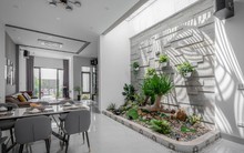 Mua cây cảnh về trưng Tết nhất định phải đặt ở 4 vị trí hút tài lộc, vận may này