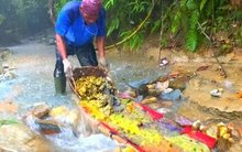 Người đàn ông mò được kho báu “sáng lấp lánh” hơn 44 tỷ đồng dưới sông, 3 năm sau đột nhiên bị cảnh sát bắt giữ