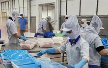 Cước phí vận tải biển tăng cao: Doanh nghiệp chuyển hướng thị trường