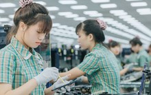 Việt Nam xuất nhập khẩu 1 tháng gần 30 tỷ USD