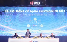 MB chuẩn bị họp cổ đông bàn phương án phân phối lợi nhuận, tăng vốn,...