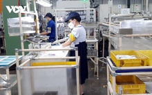 Nhân lực cho ngành bán dẫn cần chiến lược "điều hướng"