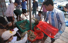 Thêm cơ hội từ thị trường Trung Quốc