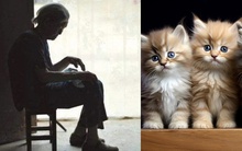 73 tuổi sống cô độc bên 4 con mèo, đến khi tuyên bố di chúc thì 3 người con mò đến đòi chia tài sản: Bà lão liền làm ngay một việc khiến ai cũng ngỡ ngàng