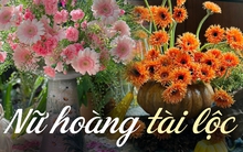 Loài hoa tài lộc này có nhiều cách cắm đẹp mà đơn giản, lưu ngay lại để Tết cắm 1 bình chưng ở phòng khách