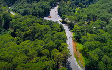 Đệ nhất cung đường đèo Đà Lạt chính thức thông xe toàn tuyến từ ngày 31/01