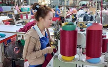 Năm 2023 thu nhập mỗi tháng của người lao động là bao nhiêu?