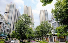 Hà Đô chấm dứt hoạt động chi nhánh miền Nam