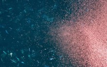 "Mỏ vàng biển" 6 tỷ tấn ở Nam Cực, nhiều đến mức có thể nhìn thấy từ không gian: Không ai lấy?