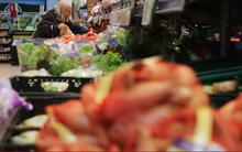 Lạm phát Khu vực đồng Euro tăng lên 2,9% trong tháng 12/2023