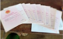 Một phụ nữ sử dụng 19 'sổ đỏ' giả để thế chấp vay 10 tỷ đồng