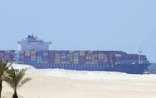 Thương mại Ai Cập - Nga tăng vọt