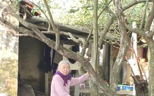 VIDEO: Đường trăm tỉ đồng "đắp chiếu", dân bị cô lập giữa“ốc đảo” trong thành phố