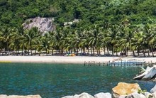 Review Cù Lao Chàm