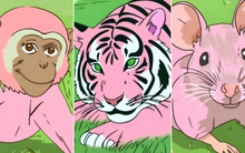 Tử vi tuần mới (8/1 - 14/1): Top 4 con giáp may mắn nhất tuần, công việc thuận lợi, tình duyên suôn sẻ