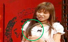 Khoe chiếc roi cổ đáng giá 17 tỷ đồng, cô gái tái mặt khi nghe chuyên gia nói: "Làm người nên biết chừng mực!"