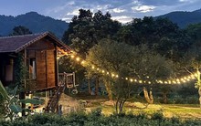 Đang làm chủ ở thành phố, đôi vợ chồng bất ngờ dọn lên núi làm nhà sàn, sống tự cung tự cấp