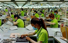 Một công ty ở Trà Vinh thưởng tết Giáp Thìn cao nhất 280.000.000 đồng