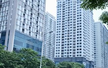 Vì sao giá nhà không thể hạ?