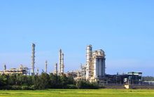 Doanh nghiệp trụ cột của nền kinh tế đất nước và kỷ lục chưa từng có trong 62 năm lịch sử