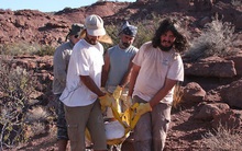 Quái thú dài 20 m "hiện hình" sau 90 triệu năm tuyệt tích