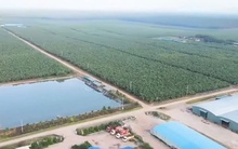 Hoàng Anh Gia Lai chậm thanh toán hơn 4.501 tỷ đồng gốc và lãi trái phiếu