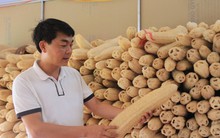 Biến thứ bỏ đi thành "siêu phẩm", anh giám đốc trao cơ hội làm giàu cho nhiều nông dân