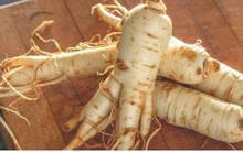 Nhân sâm "đại kỵ" với những người này, chớ dại dùng kẻo "tiền mất tật mang"