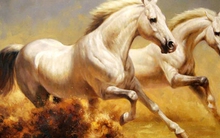 Tuần mới (14-20/10), 4 con giáp đón tin vui tới tấp, may mắn khó ai bằng, dễ gặp được quý nhân