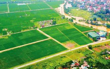 Thủ tướng phê bình các địa phương chậm trễ ban hành văn bản hướng dẫn Luật Đất đai