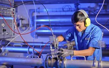 Quốc gia Đông Nam Á chỉ bé bằng một tỉnh Việt Nam nhưng hút hết "đại bàng công nghệ về làm tổ": Vì sao?