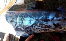 Ngư dân bắt được con cá khổng lồ có "hình xăm" kỳ lạ