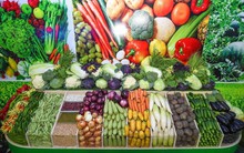 Nga bất ngờ cấm nhập khẩu nhiều loại hàng hoá từ đối tác thương mại quan trọng ngay trước thời điểm nước này thông báo từ chối gia nhập BRICS