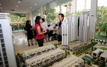 Một tỉnh ven biển bất ngờ chỉ còn duy nhất 1 sàn giao dịch bất động sản hoạt động