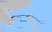 Tin cuối cùng về cơn bão số 6