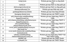 Danh sách website giả mạo ngân hàng, sàn TMĐT, cổng dịch vụ công người dân tuyệt đối không được truy cập