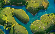 Ngoài biển Cửa Lò, Nghệ An còn có những "ốc đảo xanh" độc đáo: Cảnh được nhận xét không giống nơi nào