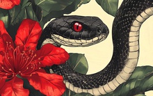 Từ ngày mai, 3 con giáp này chạm mặt quý nhân, thu hút sự giàu có lẫn phước lành, ước mơ đều thành hiện thực