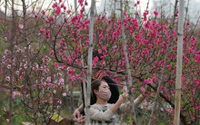 Bộ Lao động báo cáo Thủ tướng lịch nghỉ Tết 9 ngày liên tiếp