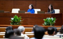 Đại biểu Quốc hội đề nghị NHNN tăng lãi suất huy động USD, Thống đốc nói gì?