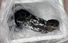 Bí mật trong chiếc thùng xốp khiến nam thanh niên bị khởi tố