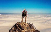 Cổ phiếu doanh nghiệp bán sản phẩm “ai cũng mua” kịch trần lập đỉnh lịch sử, vốn hóa tăng 20% sau 2 tuần