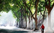 Dự báo thời tiết Hà Nội 10 ngày: Trời chuyển lạnh, nhiệt độ thấp nhất 16 độ C