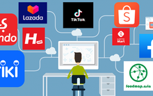 Cuộc đua ‘đốt tiền’ giành thị phần của các sàn thương mại điện tử tại Việt Nam