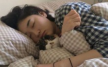 3 kiểu người thực sự không thích hợp để ngủ trưa, bạn có nằm trong số đó?