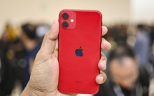 Một mẫu iPhone đang giảm hơn 13 triệu, giá bán chỉ từ 8 triệu đồng